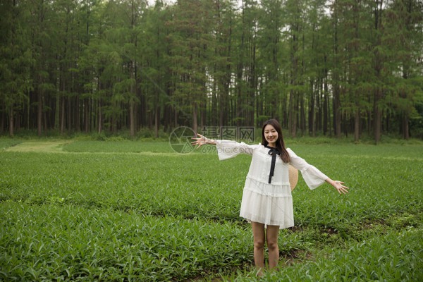 武汉外卖喝茶,养生好去处! 武汉外卖喝茶,养生好去处!